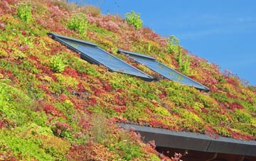 Boltby living roof systems